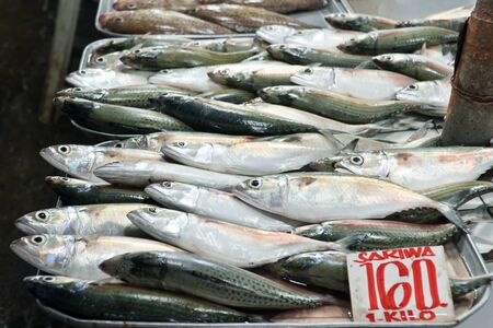 A lot of small fish for sale. Fish shop. Various fish on the counter.