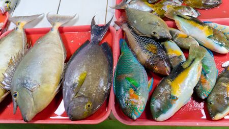 A lot of small fish for sale. Fish shop. Various fish on the counter.