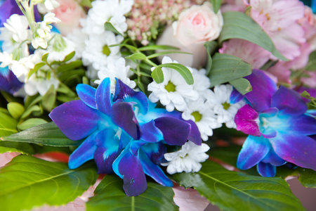 Bouquet of different flowers with blue orchidsの写真素材