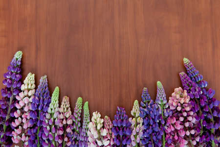 beautiful lupines on wooden background. Background with flowers with place for text.の写真素材