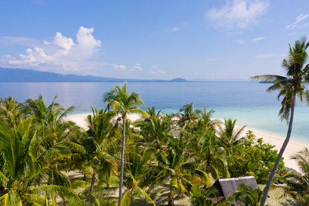 Coconut palms on the beach. Beautiful beach with white sand and palm trees. The nature of the...