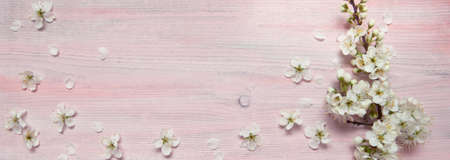 Plum flowers on a wooden background. spring background.の写真素材