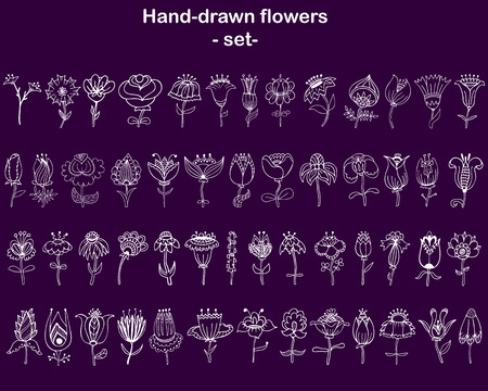 Set of hand-drawn fantasy flowers for the design on the ultraviolet background.のイラスト素材