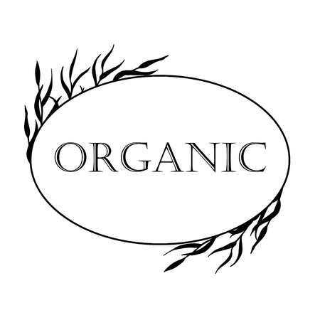 Black-and-white illustration in a frame with hand-drawn medicinal herbs for organic cosmetics.のイラスト素材