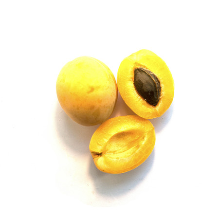 Three appetizing apricots on a white background. Top view.の写真素材