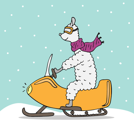 Hand-drawn poster with a lama wearing a scarf riding on a snowmobile
.のイラスト素材