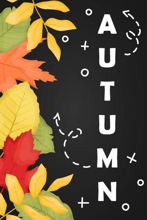The Autumn Sale Poster with fallen leaves and dark background. Vector flat background.のイラスト素材