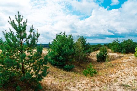 Sand dunes on the Curonian spit. Beautiful landscape on the Baltic sea. Kaliningrad region.の写真素材