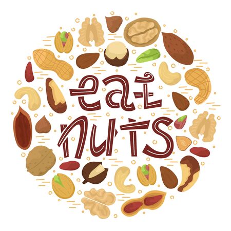 Vector illustration with flat nuts arranged in a circle shape with lettering - eat nuts.のイラスト素材
