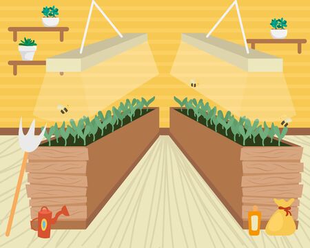 Beds with seedlings for growing vegetables in the apartment. Environmental consumption. Farm city.のイラスト素材