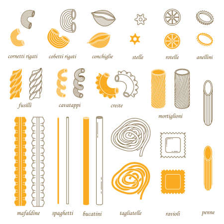 The vector set of different types of italian pasta. Line art and simple styleのイラスト素材