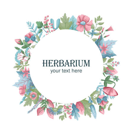 Botanical template with dried flowers and leaves. Place for text.のイラスト素材