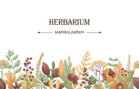 otanical template with horizontal seamless pattern of dried flowers and leaves. Place for text.のイラスト素材
