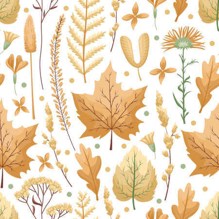 Seamless vector pattern with herbarium leaves and flowers on a white background. Autumn colors, fall leaves.のイラスト素材