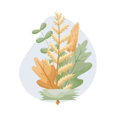 Vector illustration of a bouquet of leaves and flowers from the herbarium.のイラスト素材