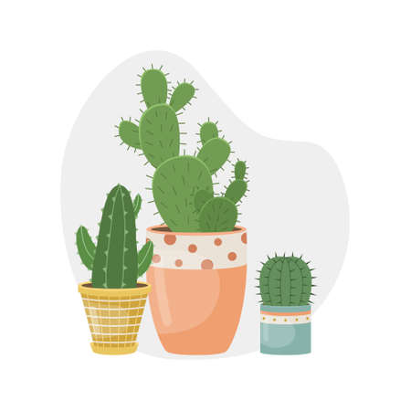 Vector illustration with home plants in pots. Decorative plants in the interior of the house. Flat style.のイラスト素材