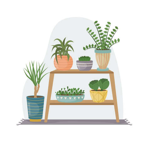 The flat illustration with house pants in pots. Planting. Decorative plants in the interior of the house. Flat style.のイラスト素材