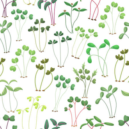 Vector seamless pattern with microgreens. Healthy young seedlings. Healthy eco-friendly food. Flat backgroundのイラスト素材