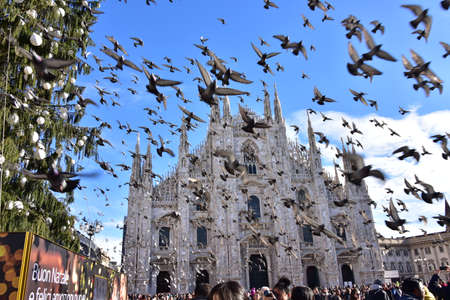 MILAN, DECEMBER 20, 2017 - View of Milan Duomo Cathedral with people, doves and pigeons flying in a blue sky and a big, adorned Christmas Treeの写真素材