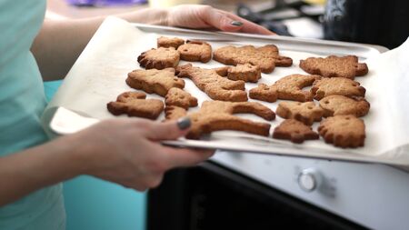 A girl takes out Gingerbread from the oven. Baking in the form of forest animals. Dessert on baking paper. Sea Wave Kitchen. Homemade cookies in the opened oven.の写真素材