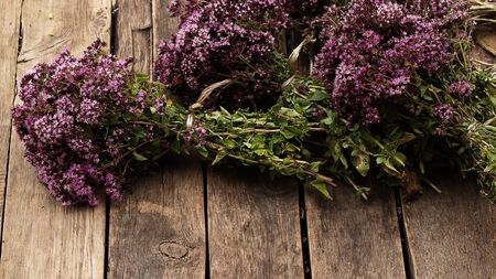 Preparation for drying medicinal herbs - oregano and Hypericum. Alternative medicine is good for your health. Natural nature and rustic style. Purple flowering plants.の写真素材