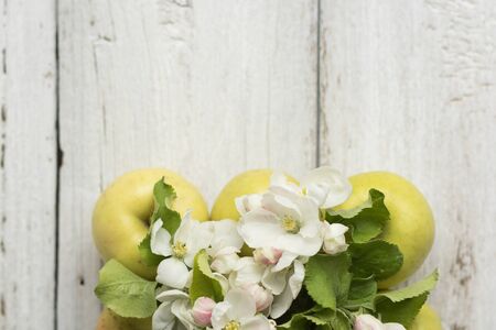 Apple blossom on a wooden white background. A square of green apples is filled with flowering branches. Copy space and horizontal orientationの写真素材