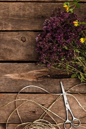 Preparation for drying medicinal herbs - oregano and Hypericum. Alternative medicine is good for your health. Natural nature and rustic style. Yellow and purple flowering plantsの写真素材