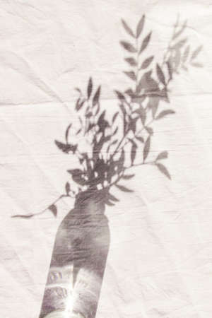 The shadow of a plant in a glass vase of water. Sunshine, hard shadow. Floral, interior, nature...