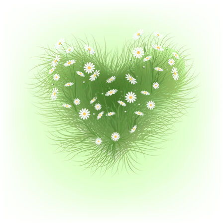Decorative floral background with wild chamomiles. のイラスト素材