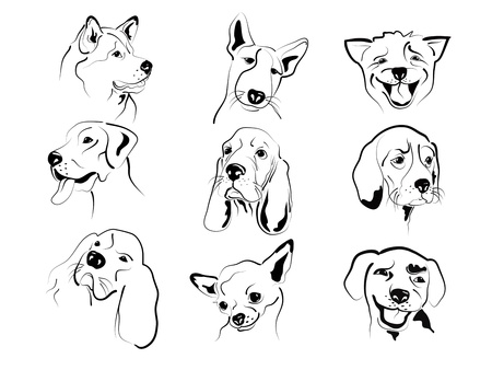 Set of different dogs friendly graphic faces sketches. のイラスト素材