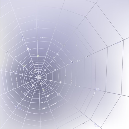 Stylish background with spider web with transparent shining water drops. のイラスト素材