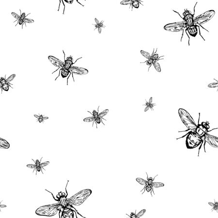 Vintage vector black and white hand drawn seamless background with flyes .のイラスト素材