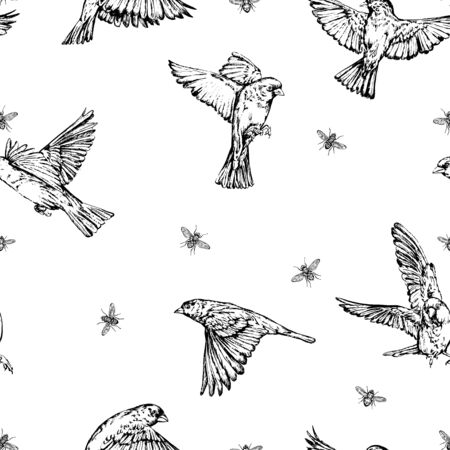 Vintage vector black and white hand drawn seamless background with flyes and sparrows .のイラスト素材