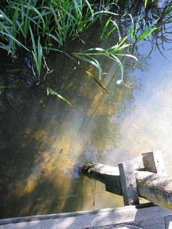 Quiet river backwaterの写真素材