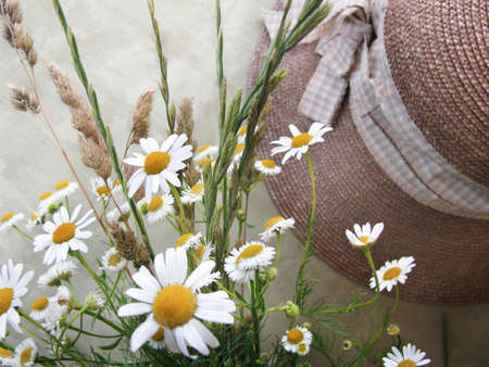 Camomile bouquetの写真素材