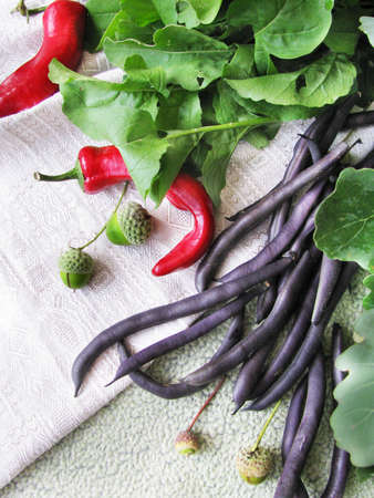 Green and hot pepperの写真素材