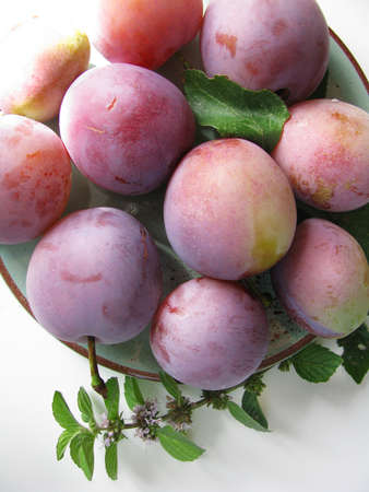 Ripe plums and basil sprigsの写真素材