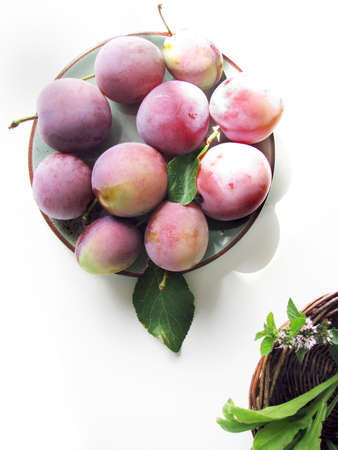 Plums on a plate in the sunの写真素材