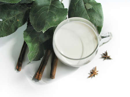 Clear glass cup with cream, apple tree branch, cinnamon, and star anise on white table. Top viewの写真素材