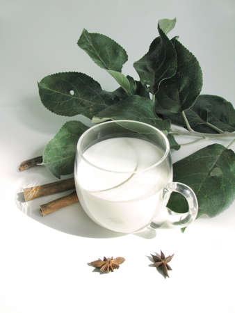Clear glass cup with cream, apple tree branch, cinnamon, and star anise on white tableの写真素材
