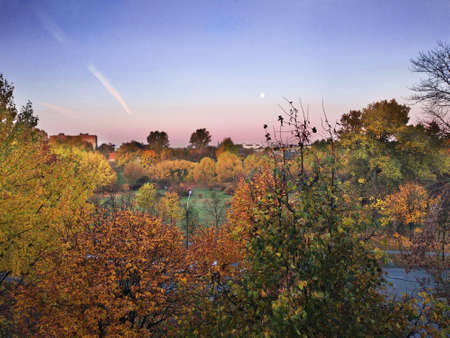 Autumn evening sky on the outskirts of the cityの写真素材