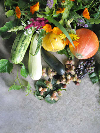 Bright autumn vegetables and flowers on a gray rocky backgroundの写真素材