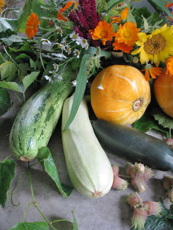 Bright autumn vegetables and flowers on a gray rocky backgroundの写真素材