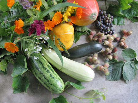 Bright autumn vegetables, nuts, and flowers on a gray rocky backgroundの写真素材