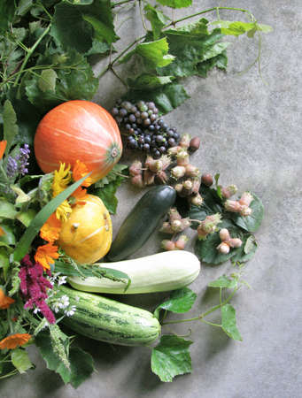 Bright autumn vegetables and flowers on a gray rocky background. Top viewの写真素材