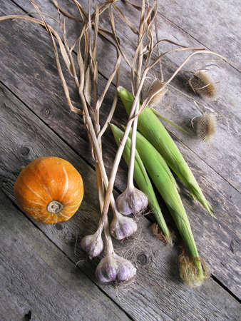 Little orange pumpkin, garlic, sweet corn, and tease cones on wooden backgroundの写真素材