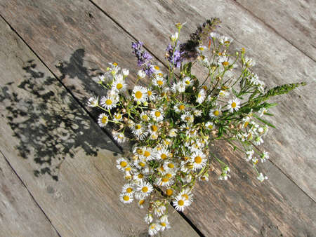 Sunlit bouquet of simple white flowers on wooden backgroundの写真素材