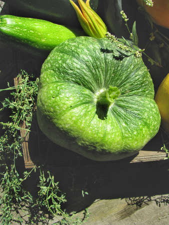 Ripe green pumpkin in a wooden boxの写真素材