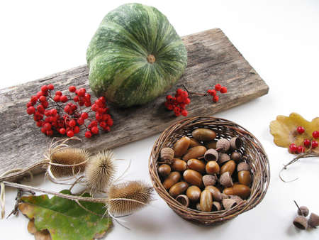 Autumn composition of green pumpkin, oak leaves, acorns in the round basket, red berries on a wooden board on a white background. Autumn holidays and harvest. Halloweenの写真素材