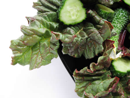 Salad of rhubarb leaves and fresh cucumber slices in a black salad bowl on a light backgroundの写真素材